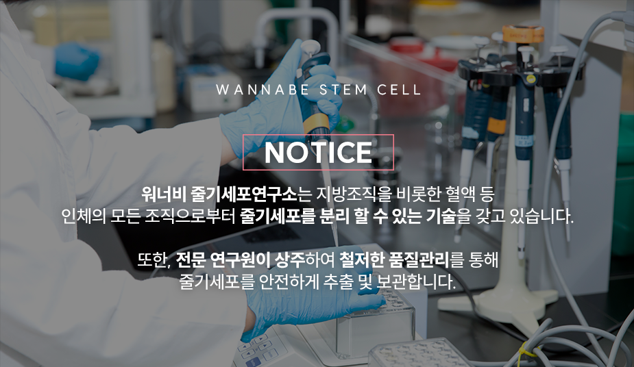 워너비 줄기세포연구소 - 지방조직을 비롯한 혈액 등 인체의 모든 조직으로부터 줄기세포를 분리 할 수 있는 기술을 가지고 있습니다.