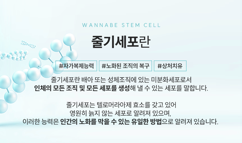 줄기세포란 - 줄기세포는 텔로머라아제 효소를 가지고 있어 영원히 늙지 않는 세포로 알려져 있으며, 이러한 능력은 인간의 노화를 막을 수 있는 유일한 방법으로 알려져 있습니다.