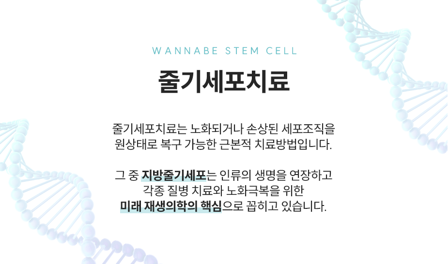 줄기세포치료 - 지방줄기세포는 인류의 생명을 연장하고 각종 질병 치료와 노화 극복을 위한 미래 재생의학의 핵심으로 꼽히고 있습니다.